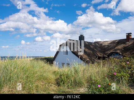 Cottage con il tetto di paglia, Mar Baltico beach, Ahrenshoop, Fischland, Fischland-Zingst, Meclemburgo-Pomerania, Germania Foto Stock