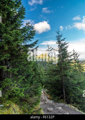 Monte Giewont visto attraverso gli abeti dal sentiero alpino nelle montagne Tatra, Polonia Foto Stock