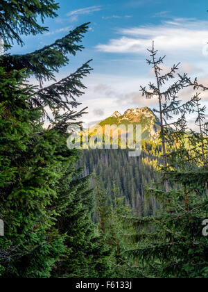 Monte Giewont visto attraverso gli abeti dal sentiero alpino nelle montagne Tatra, Polonia Foto Stock