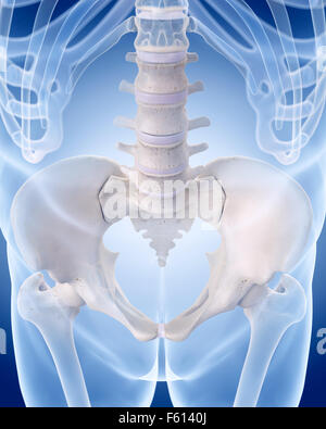 Dal punto di vista medico illustrazione accurata dello scheletro umano - la colonna lombare Foto Stock