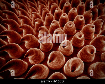 Stile SEM illustrazione della superficie del timone Foto Stock