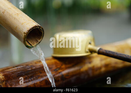 Un mestolo di acqua e fontana di bambù in un tempio buddista a Tokyo in Giappone. Foto Stock