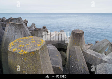 Mare di calcestruzzo muro di difesa costiera alla centrale nucleare di Torness in Scozia. Foto Stock