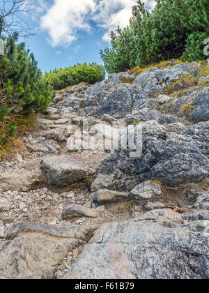 Alpine sentiero turistico nei monti Tatra, Polonia Foto Stock