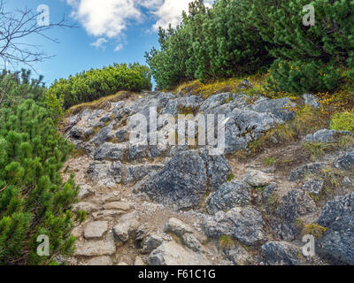 Alpine sentiero turistico nei monti Tatra, Polonia Foto Stock