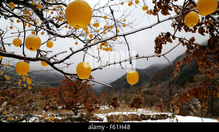 Beijing, Pechino, CHN, Cina. Decimo Nov, 2015. Pechino, Cina - 6 Novembre 2015: (solo uso editoriale. Cina OUT) prima coperto di neve montagna Yan. © SIPA Asia/ZUMA filo/Alamy Live News Foto Stock