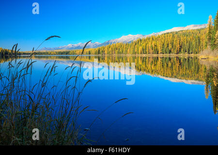Serata di autunno al lago di alva in Clearwater valle al di sotto della gamma Swan vicino seeley lake, montana Foto Stock