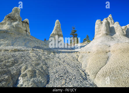 Erosi pinnacoli di ceneri vulcaniche e sedimenti terziari in terra bianca area vicino winston, montana Foto Stock