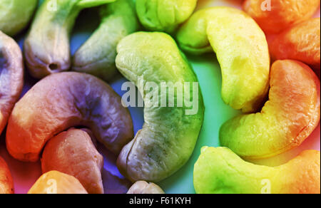 Pinoli da alberi di pino fotografato vicino fino Foto Stock