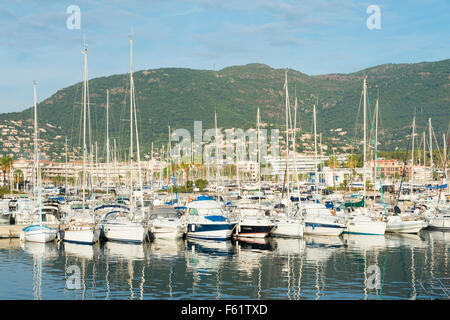 Imbarcazioni da diporto e barche stipate in porto a Cavalaire sulla riviera francese in Provenza Francia Foto Stock