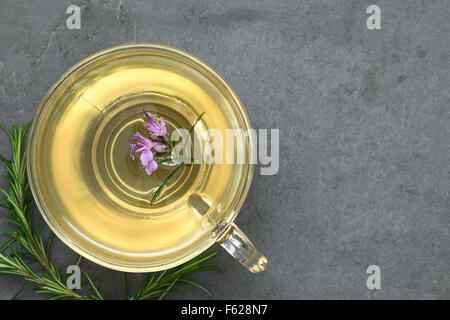 Preparate di fresco rosmarino tisana in tazza di vetro, guarnita con fiori di rosmarino, fotografato overhead su ardesia Foto Stock