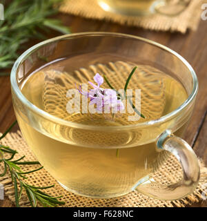 Preparate di fresco rosmarino tisana in tazza di vetro, guarnita con fiori di rosmarino, fotografato in legno scuro con luce naturale Foto Stock