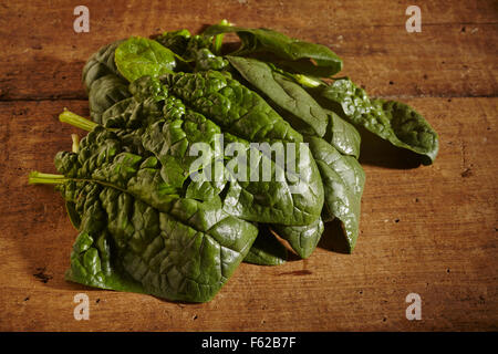 Fresche, materie foglie di spinaci Foto Stock