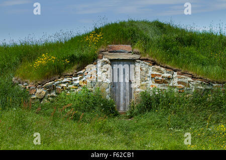 Cantina di radice in Elliston del Canada, provincia di Terranova e del Labrador. Storico e scenic conservazione. Foto Stock