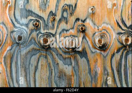Close-up dello storico Thomas Murphy fienile schierata; insolito modello di nodi; Moulton Homestead; il Parco Nazionale del Grand Teton; Wyoming Foto Stock