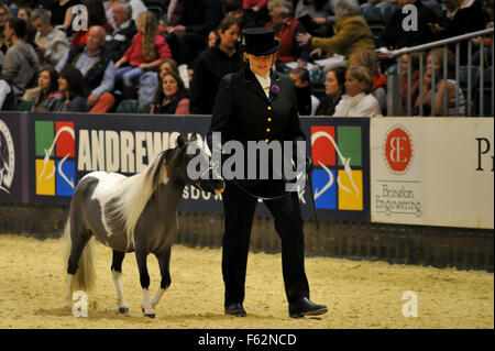 Cavallo dell'anno mostra 2015 a Birmingham NEC offre: atmosfera dove: Birmingham, Regno Unito quando: 07 Ott 2015 Foto Stock