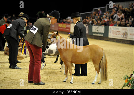 Cavallo dell'anno mostra 2015 a Birmingham NEC offre: atmosfera dove: Birmingham, Regno Unito quando: 07 Ott 2015 Foto Stock