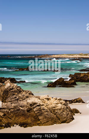 Pebble Beach, 17 miglia di auto, Monterey, Oceano Pacifico, California Foto Stock