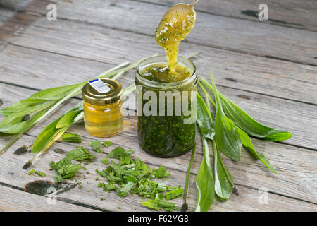 Inglese piantaggine, Ribwort, miele, Honig, Spitz-Wegerich, Spitzwegerich, Hustensaft, Hustensirup, planzago lanceolata Foto Stock