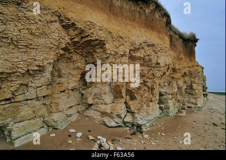 Spugna fossilizzato reef vicino a Lion-sur-Mer, Normandia, Francia Foto Stock