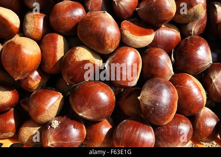 Un cestello di fresco raccolte castagne giapponese una prelibatezza tradizionale Ottobre 22, 2015 in Ganne Miwa-cho, Giappone. Foto Stock