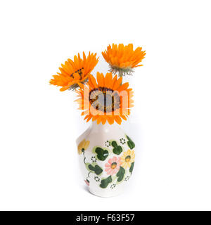 Gazania in vaso vintage isolati su sfondo bianco Foto Stock