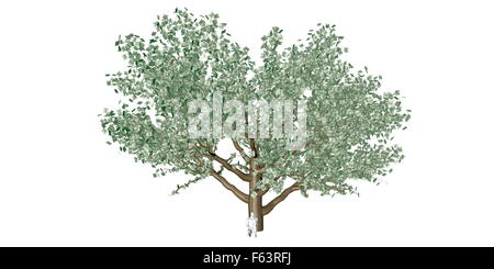 Opportunità nascoste con un uomo non conoscendo la sua ricchezza Foto Stock