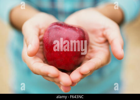 Frutta organica. Donna con le mani appena raccolto le mele. Foto Stock