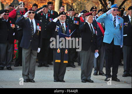 London, Ontario, Canada. 11 Novembre, 2015. Il passato e il presente dei membri della Canadian servizi armati e i membri del pubblico a raccogliere il cenotafio in London, Ontario di complementare Giorno del Ricordo. Su questo pubblico su tutto il territorio nazionale per le vacanze europee tenere cerimonie a pagare rispetto ai caduti. Credito: Jonny bianco/Alamy Live News Foto Stock