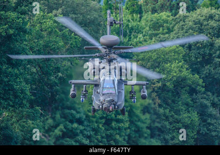 AgustaWestland Apache AH-64D Apache Longbow attacco di armi elicottero dell'esercito britannico, volare sopra gli alberi. Basso. Killer carro armato militare Foto Stock