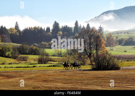 Persone cavalcare in autunno paesaggio vicino Pfronten, Baviera, Germania. Foto Stock