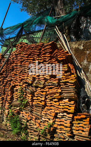 Persone sono state mining argilla e spari in piastrelle al tetto delle loro case per secoli. verde alghe che crescono su piastrelle di vecchiaia. Foto Stock