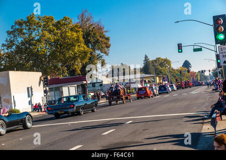 Modesto, California, USA. Xi Nov, 2015. Il 2015 Modesto California veterani parata del giorno: Credito John Crowe/Alamy Live News Foto Stock