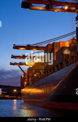 Contenitore di carico della nave a impianto portuale al crepuscolo della notte Foto Stock