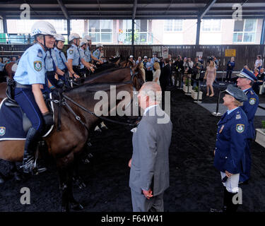 Sydney, Australia. Novembre 12, 2015. Il principe Charles ispeziona i cavalli durante una visita alla polizia di NSW unità montata in Redfern, Sydney. Credito: MediaServicesAP/Alamy Live News Foto Stock