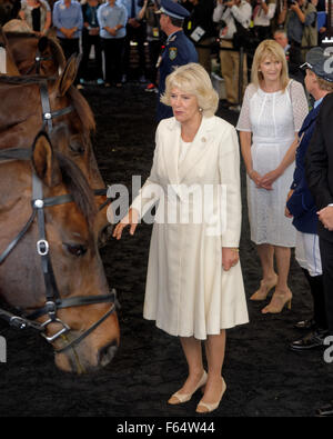 Sydney, Australia. Novembre 12, 2015. Camilla, duchessa di Cornovaglia ispeziona i cavalli durante una visita alla polizia di NSW unità montata in Redfern, Sydney. Credito: MediaServicesAP/Alamy Live News Foto Stock