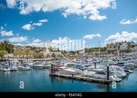 Vista sul porto e Marina di Torquay, Torbay, Inghilterra, Regno Unito Foto Stock