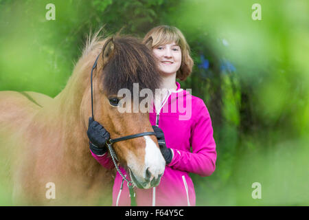 Cavallo islandese. Ragazza in piedi accanto alla baia adulto. Austria Foto Stock