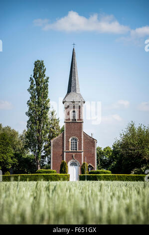 Chiesa nel campo Foto Stock