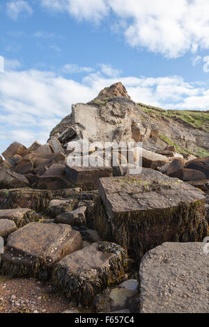 Rocce di Collywell baia vicino a Seaton Sluice, Northumberland Foto Stock