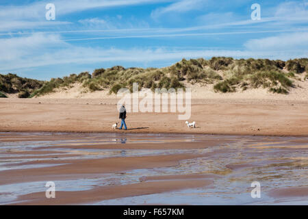 Dog walker sulla sabbiosa spiaggia di Blyth, Northumberland, Regno Unito Foto Stock