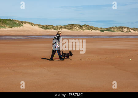 Dog walker sulla sabbiosa spiaggia di Blyth, Northumberland, Regno Unito Foto Stock