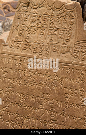 India, Himachal Pradesh, Spiti River Valley, Tabo, mani pietre incise con tibetano mantra di script Foto Stock