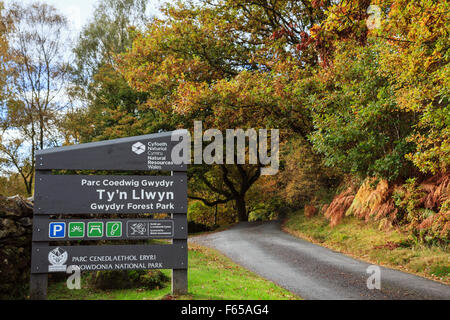 Ty'n Llwyn carpark segno da Vicolo del paese in Gwydyr Forest Park nel Parco Nazionale di Snowdonia in autunno. Betws-y-Coed North Wales UK Gran Bretagna Foto Stock