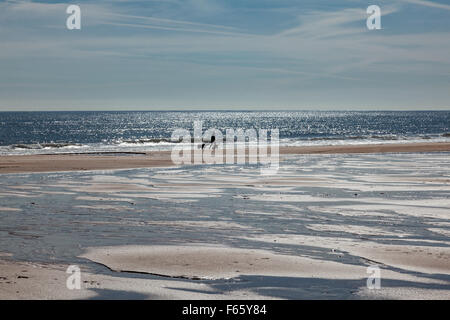 Dog walker retroilluminato sulla sabbiosa spiaggia di Blyth, Northumberland, Regno Unito Foto Stock