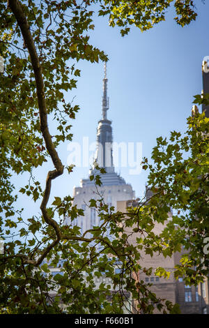 L'Empire State Building Foto Stock