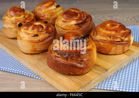 Panini appena sfornati nella forma di una lumaca con uvetta Foto Stock