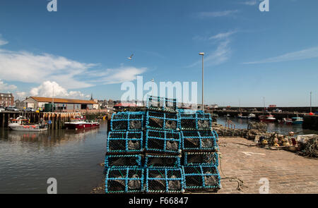 POT di aragosta Foto Stock