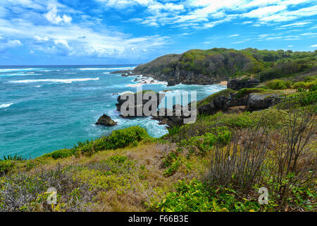 Punto Nord a Santa Lucia, Barbados Foto Stock