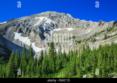 Rocky Mountain picco in prossimità sede creek pass in Lewis e Clark National Forest vicino choteau, montana Foto Stock